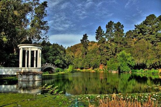 El Jardín Botánico previo a los incendios en Chile.