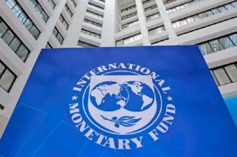 FMI argentina