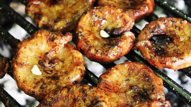 parrilla