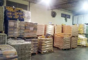 alimentos
