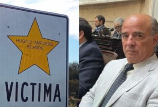 diputado estrellas amarillas