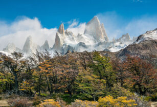 patagonia naturaleza