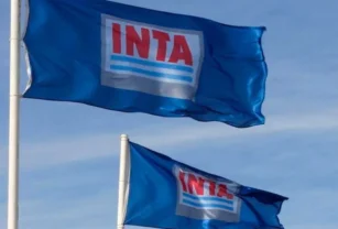 INTA