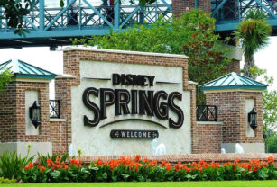 disney+