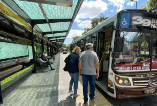 uta colectivos
