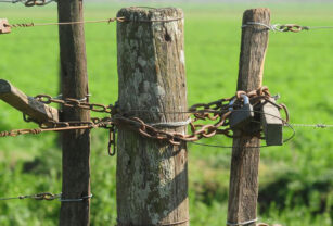 inseguridad rural
