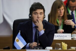 Milei economía