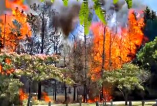 Incendio campo de Golf