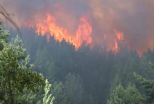 Incendios forestales
