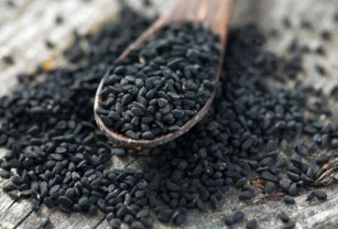 comino negro alimento condimento