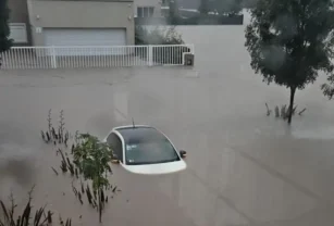 temporal bahía blanca